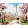 zuty Maľovanie podľa čísel - Milenci v parku pri Eiffelovej veži (Richard Macneil), 80x100 cm, vypnuté plátno (8596530050032)