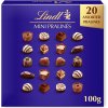 Lindt Mini pralines 100 g