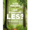 Jak funguje les? - Pierre L. Ibisch, Peter Wohlleben