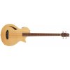 ESP LTD TL-4 NAT
