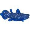 Mojo Coelacanth