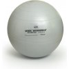 SISSEL Fitlopta SISSEL® Securemax Ball - Ø 65 cm Farba: strieborná + plagát s cvikmi