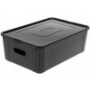 Kozáček úložný box MULTIBOX KOLOR 34 x 20 x 10 cm 5L transparentný