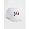 GAP Logo Americana 603133-15
