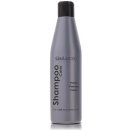 Salerm Šampón Color platinový 250 ml