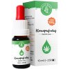 Zelená země CBD Konopný olej 10 % 10 ml