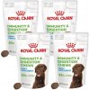 Royal Canin Puppy Immunity & Digestion Chews 4x100g