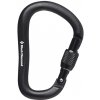 BLACK DIAMOND ROCKLOCK SCREWGATE CARABINER Black