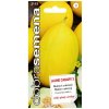 MELÓN CUKROVÝ JAUNE CANARY 3 20s