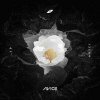 CD Avicii: Without You LTD