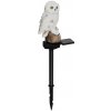Gardlov 23847 Záhradná solárna lampa sova IP44, teplá biela
