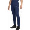 Tepláky Nike Dri-Fit Academy 25 M FZ9805 410