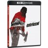 Osvícení - 4K Ultra HD Blu-ray + Blu-ray (2BD)