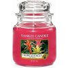 YANKEE CANDLE Tropical Jungle 411 g
