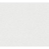 A.S. Creation Vliesová tapeta Shades of White 282910, 10,05 x 0,53 m