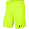 Kraťasy Nike Park III Knit Jr BV6865-702 - 164 cm