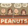 The Complete Peanuts 1987-1988: Vol. 19 - Charles M Schulz