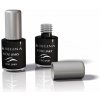 Regina Cosmetics Colors tekuté očné linky Black 8 ml