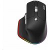 ACER bezdrátová myš Easy Fit Mouse,ergonomická,4000dpi,6 tlačítek,RGB,10m dosah,USB-C,BT,Black (HP.EXPBG.021)