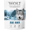 Wolf of Wilderness Adult 
