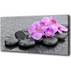 Foto obraz tlačený na plátne Orchidea kamene 100x50 cm