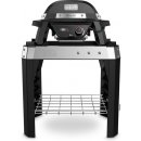 Weber PULSE 100