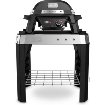 Weber PULSE 100