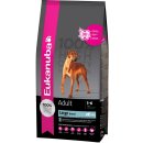 Eukanuba Adult Large 15 kg