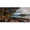 Foto obraz fotografie na skle Strom nad riekou 100x50 cm