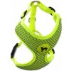 ACTIVE DOG postroj Mellow