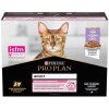Pro Plan Delicate Digestion s morčacím mäsom v omáčke 10 x 85 g