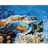 Diamondi Diamantové maľovanie - MORSKÁ KORYTNAČKA Rámovanie: vypnuté plátno na rám, Rozmer: 40x50 cm