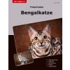 Traumrasse Bengalkatze (Karin Kramer)(Brožovaná)