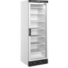 TEFCOLD Mraziaca skriňa | UFFS371G | presklené dvere – 270 l – hliníkový rám
