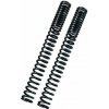 BITUBO Fork springs kit BITUBO Progressive (+1 Lt. Oil)