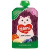 HAMI Kapsička smoothie lesné ovocie 6m+ 100 g