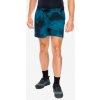 Kraťasy pánske Smartwool Active Lined 5 Short - twilight cloud