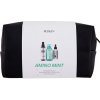 Redken Amino-Mint Shampoo dárková sada: šampon Amino-Mint Shampoo 300 ml + sprej na vlasy Brews Instant Thickening Spray 125 ml + vlasová péče Thickening Treatment 90 ml + kosmetická taštička pro ženy