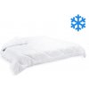 Brotex Prikrývka Thermo celoročná 1760g 200x220