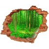 Diera 3D fototapeta nálepka Stromy v lese 90x70 cm