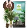 Pôda pre zelené rastliny juk palm ecofibrex hnojivo kronen 5,5-6,0 pH 20L