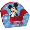 Arditex penové Mickey Mouse WD13021