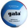 GALA VOLEJBALOVÝ MÍČ TRAINING 10