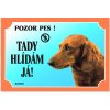 Dafiko Tabulka Tady hlídám! Jezevčík dlouhosrstý 1ks