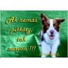 Pozorpes.sk, výstražná tabuľka (Border kólia)
