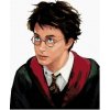 Zuty Maľovanie podľa čísel Harry Potter portrét