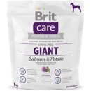 Brit Care Grain-free Giant Salmon & Potato 12 kg