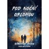 Pod noční oblohou