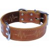 Bafpet Kožený obojok EKG 55cm/40mm prírodný