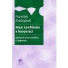 Mezi konfliktem a kooperací - František Znebejánek